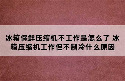 冰箱保鲜压缩机不工作是怎么了 冰箱压缩机工作但不制冷什么原因